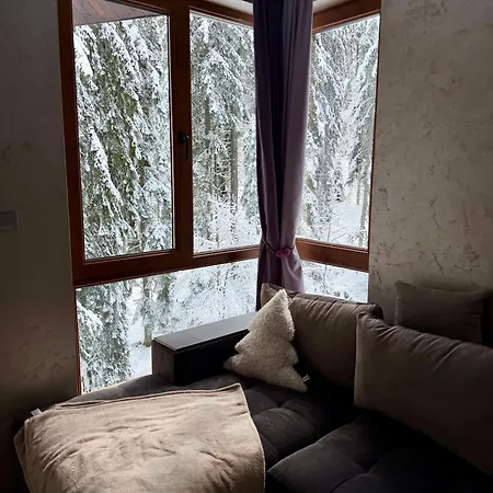 Apartment Dream - Iceberg Pamporovo